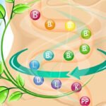 Возможные побочные эффекты пробиотиков (и почему они обычно происходят)