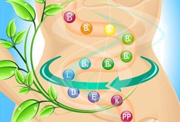 Возможные побочные эффекты пробиотиков (и почему они обычно происходят)