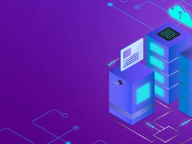 Хостинг: виды, особенности функционирования, параметры выбора