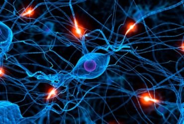 Какие существуют способы восстановления нервной системы