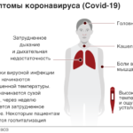 Основные симптомы коронавируса