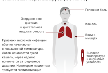 Основные симптомы коронавируса