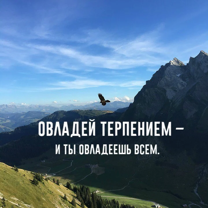 Patience and peace