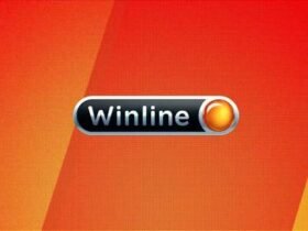 Бонусная программа букмекерской конторы Винлайн