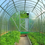 Садовые теплицы и их преимущества