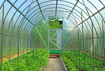 Садовые теплицы и их преимущества