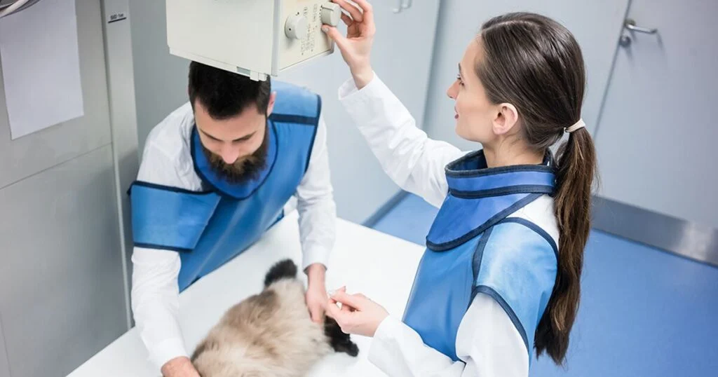 Плюсы рентген аппаратов